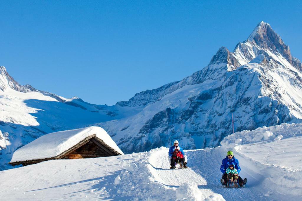 Wetterhorn, Eiger, Jungfrau, Amazing! Apartment Гринделвалд Екстериор снимка